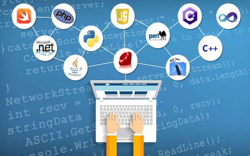 Ngôn ngữ lập trình cho từng vị trí công việc